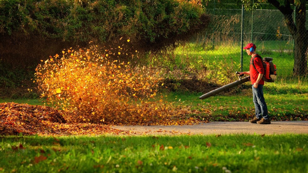 A new jersey bill would phase out two-stroke leaf blowers, restrict four-stroke models and offer eligible businesses tax credits for electric replacements.