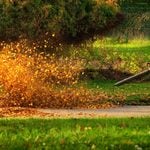 New jersey seeks to outlaw gas leaf blowers as fall leaf season draws near