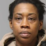 Bayshore killer pleads guilty to murdering boyfriend at train station