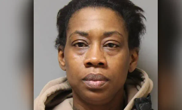 Bayshore killer pleads guilty to murdering boyfriend at train station