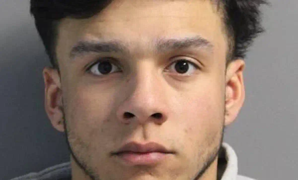 Alexander cerda pleaded guilty after prosecutors said he stole an suv while drunk, killed bay shore pedestrian eric perez and fled as police arrived.