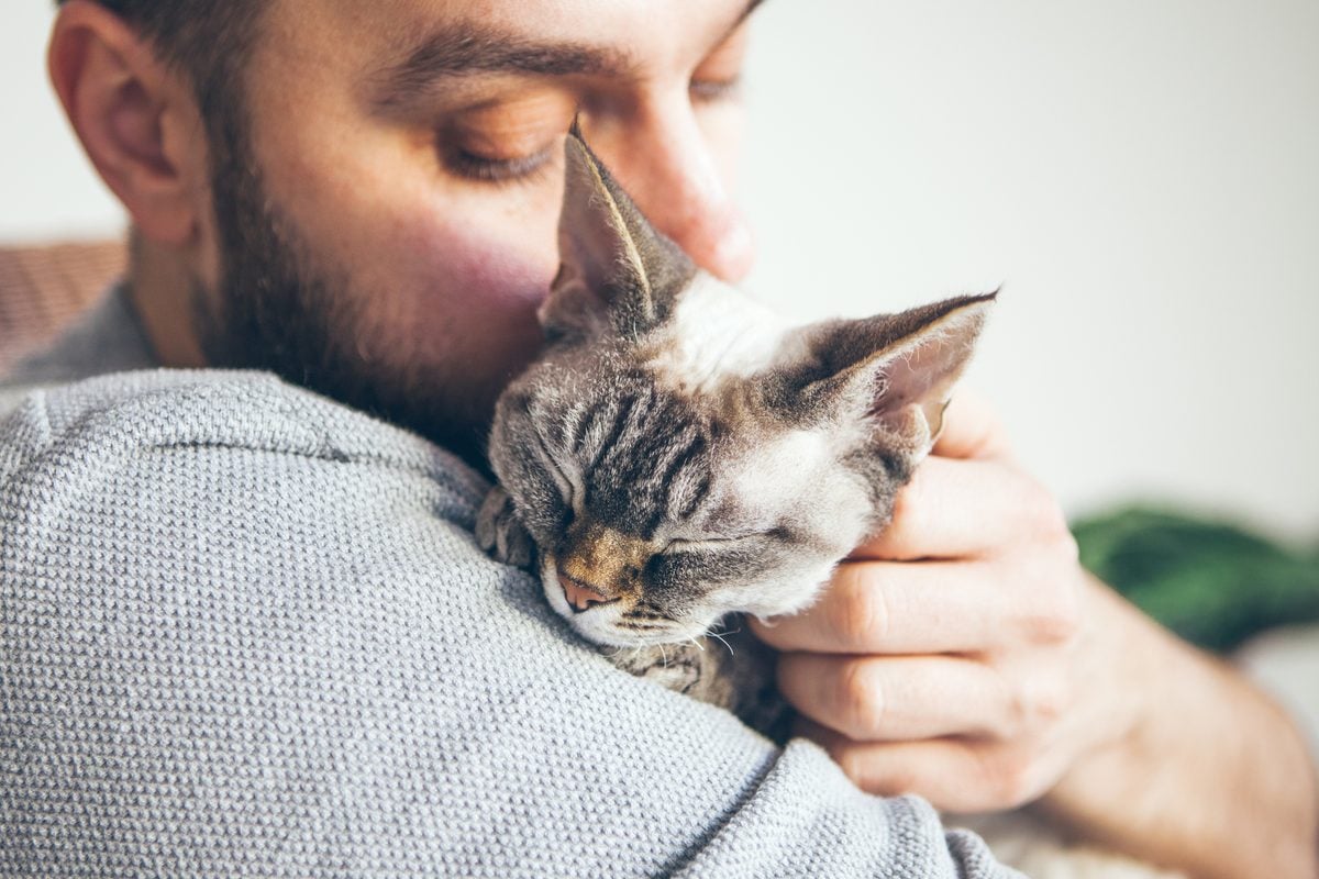 This common hair product sold in stores across new jersey could be deadly to your pets This common hair product sold in stores across new jersey could be deadly to your pets