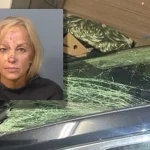 Florida woman accused of dui after striking and killing horse, driving home with smashed windshield