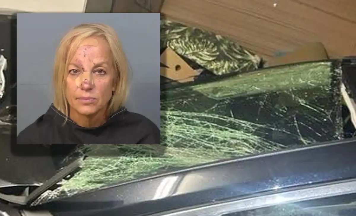 Florida woman accused of dui after striking and killing horse, driving home with smashed windshield Florida woman anne cross faces dui charges after allegedly striking and killing a horse in melbourne, then driving home with a crushed hood and broken windshield.