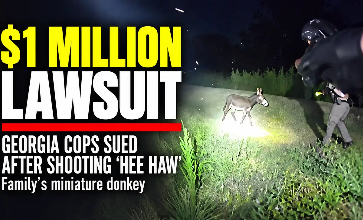Heehaw, a 1-year-old miniature donkey owned by hannah israel of elsberry riding & farm in georgia, was fatally shot by cedartown police officer trenton garner on august 30, 2026.
