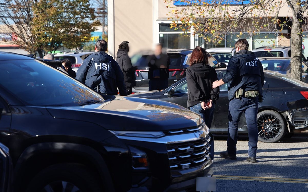Hsi new jersey is emphasizing investigations into health care and public-program fraud alongside a warning from its new york office about false billing.