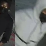 Nypd seeks two suspects after woman robbed of bag, phone and ipad in brooklyn