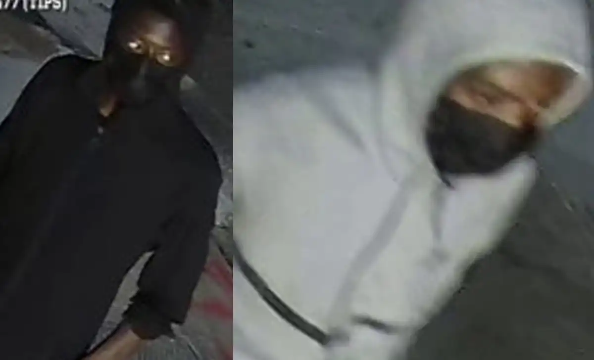 Nypd seeks two suspects after woman robbed of bag, phone and ipad in brooklyn Two suspects are wanted after police say a 25-year-old woman was robbed near avenue j and remsen avenue in brooklyn.