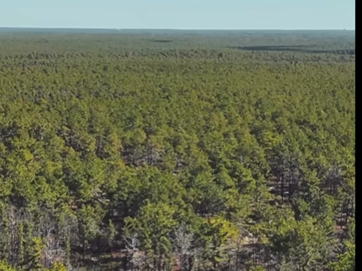 Ocean county protects 98 acres near forked river mountains ahead of open space vote Ocean county commissioner robert arace visited the forked river mountains as the county highlighted land preservation ahead of the november referendum.