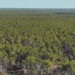 Ocean county protects 98 acres near forked river mountains ahead of open space vote