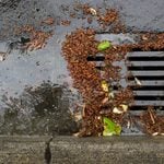 Long island police called to rescue iphone after woman drops it down sewer