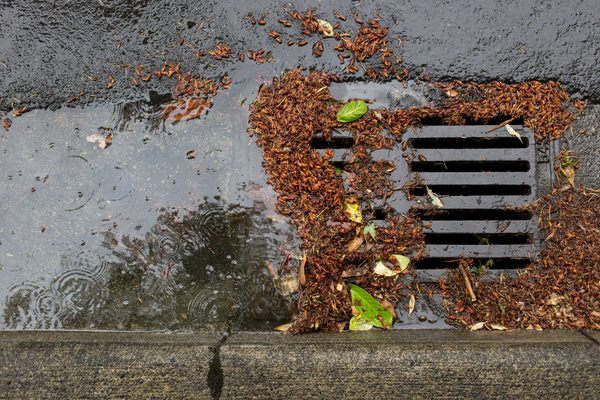 A long island woman got her iphone back after garden city police used a halligan tool to open a sewer grate and recover the device.
