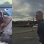 New jersey trooper stops i-80 traffic to rescue kitten running on highway