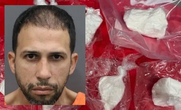 A tampa man faces drug trafficking allegations after hillsborough county deputies seized 11 ounces of cocaine during a two-month investigation.