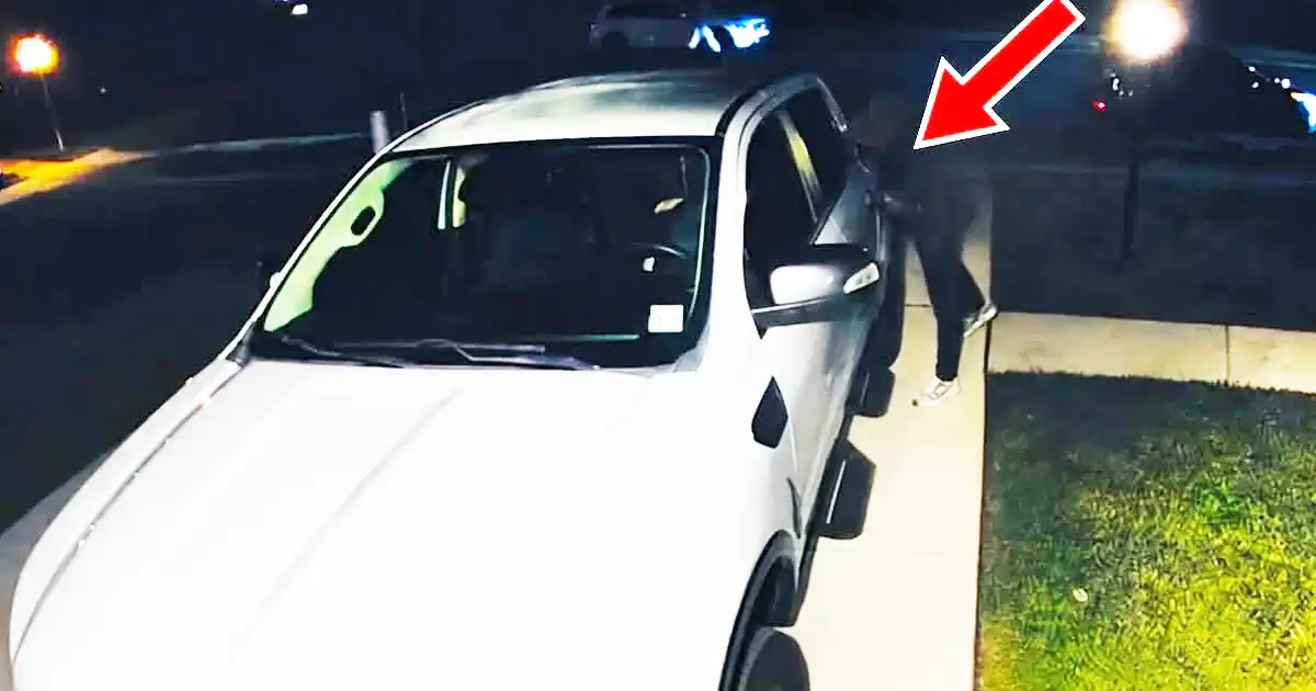 Washington township police investigated attempted vehicle thefts and burglaries on bryant road during an overnight shift.