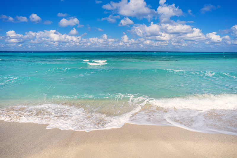 Why was the ocean so blue at the jersey shore this summer? Here's what caused the caribbean-like water Why was the ocean so blue at the jersey shore this summer? Here's what caused the caribbean-like water