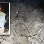 Migrant florida woman accused of burying kittens alive because she believed they were demons