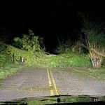 Hurricane damage mounts in destin as downed trees, power lines and sewer backup threats complicate recovery