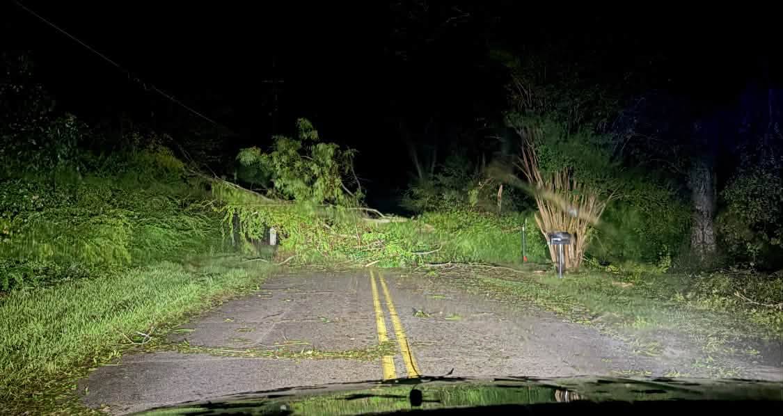 Hurricane damage mounts in destin as downed trees, power lines and sewer backup threats complicate recovery Destin faces hurricane damage, blocked roads and power outages as officials warn residents to conserve water to prevent sewage backups during recovery.