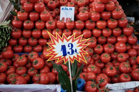 Analysis-A handbook of (mostly failed) radical inflation-fighting efforts
