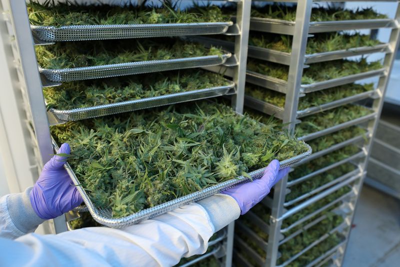 Pot producer HEXO to revamp board on activist investor push