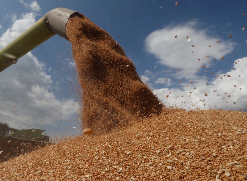 Global food supply at risk from Russian invasion of Ukraine, Yara says