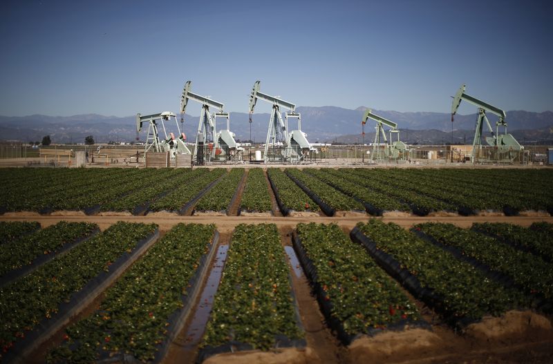 Traders ramp up bullish bets in U.S. oil options as prices soar