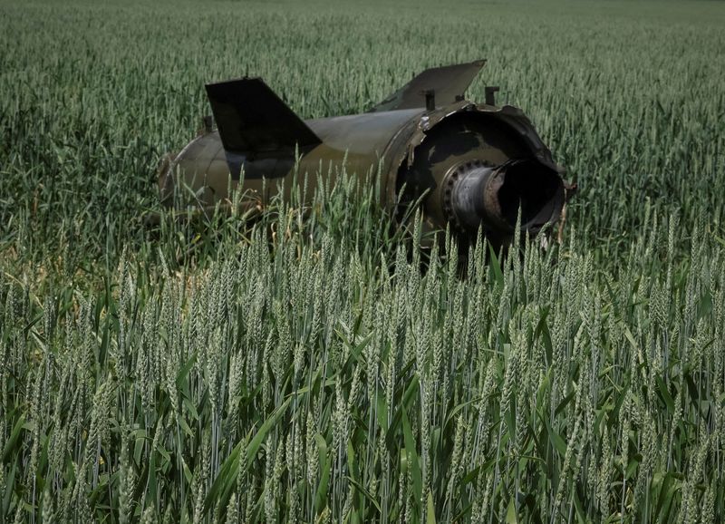Russia's war may deprive world of three Ukrainian wheat harvests - minister