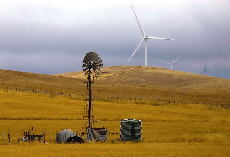 Australia power crisis forces manufacturers to eye offshore moves, production cuts