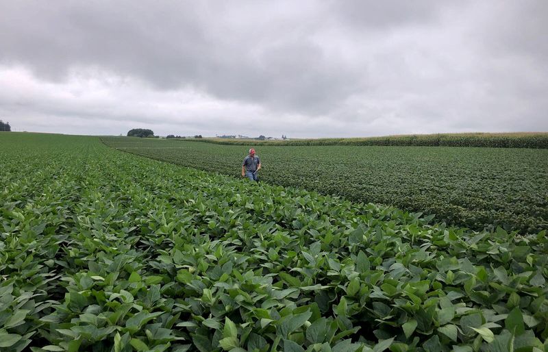 'Off the charts' chemical shortages hit U.S. farms
