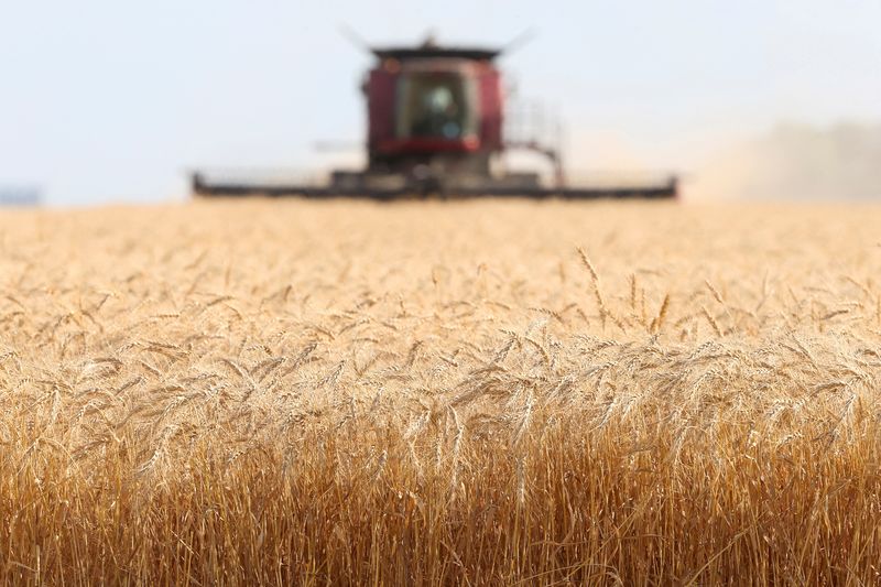‘EPA Is Playing Politics’: Biden Admin Pushes New Regs On Farmers As Food Inflation Skyrockets