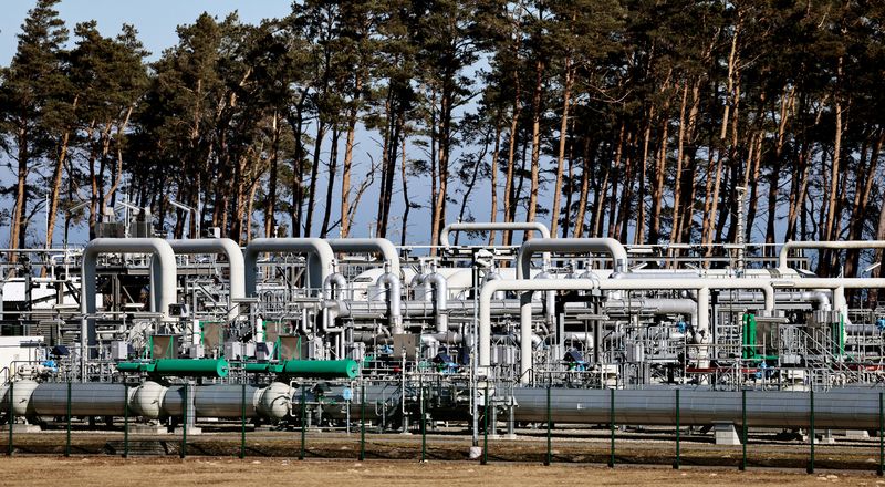 Explainer-Germany's plans to spread gas price risk
