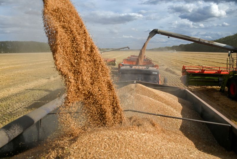 Exclusive-VTB urges Putin to curb Western grain traders' Russian ops - letter
