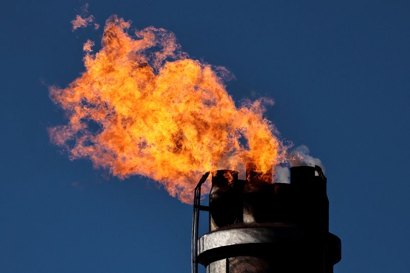 Russian energy import freeze would hit Germany as hard as Covid - source