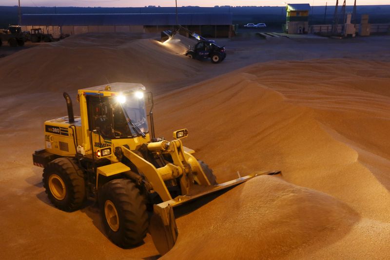 Russia to suspend grain exports to Eurasian Economic Union until Aug 31