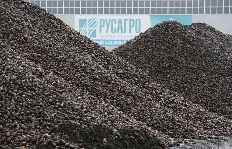 Russian billionaire Moshkovich cuts stake in Rusagro to below 50%