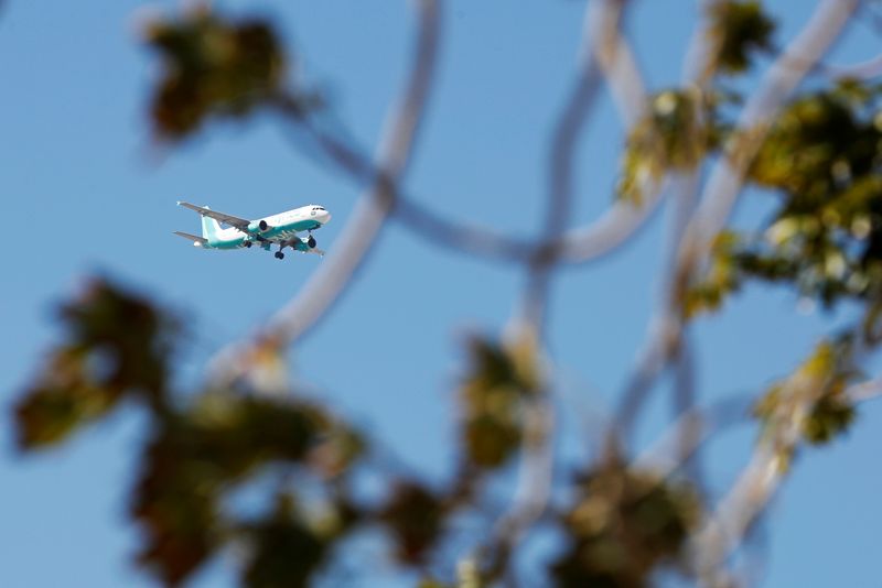 Saudi airline flynas in talks to buy more jets - CEO