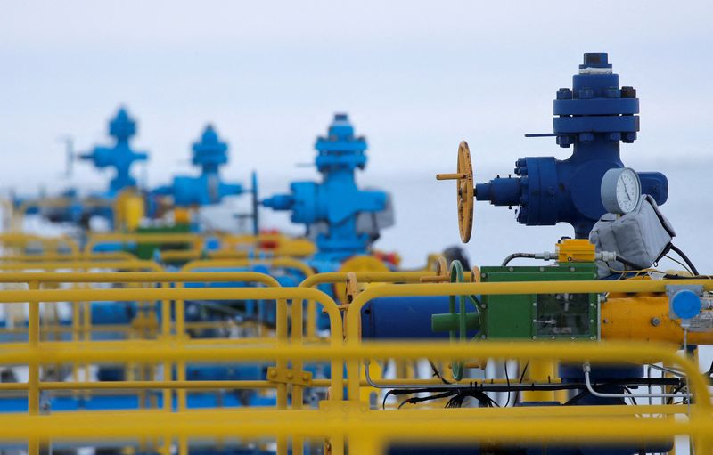 Exclusive-Russia to keep gas contract currency unchanged in rouble switch, sources say
