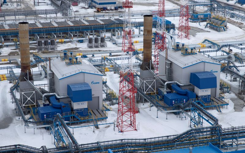 Reactions to Russia saying gas buyers must pay in roubles