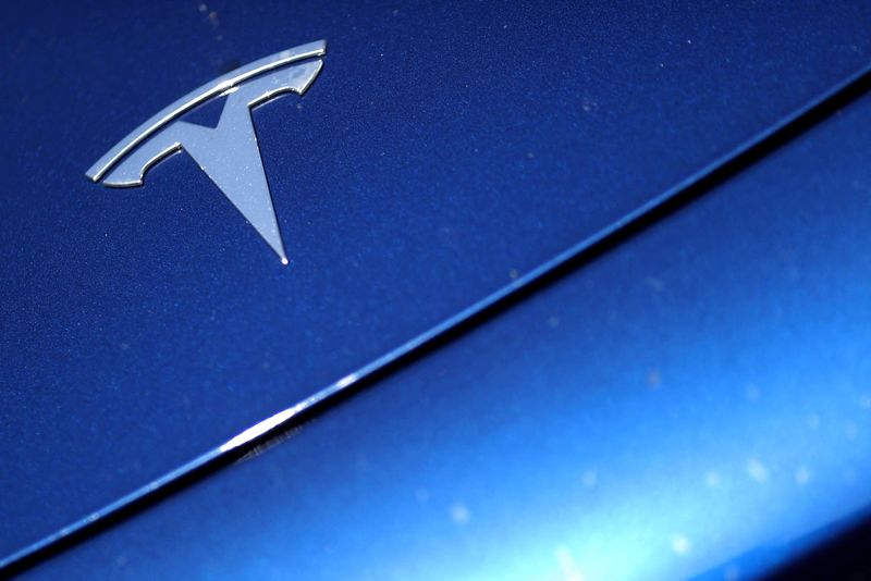 Tesla's lush profit margin raises sustainability doubts in Wall Street