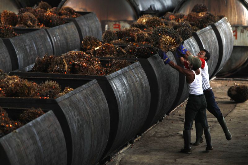 Malaysia urges countries to prioritise food over fuel as Indonesia bans palm exports