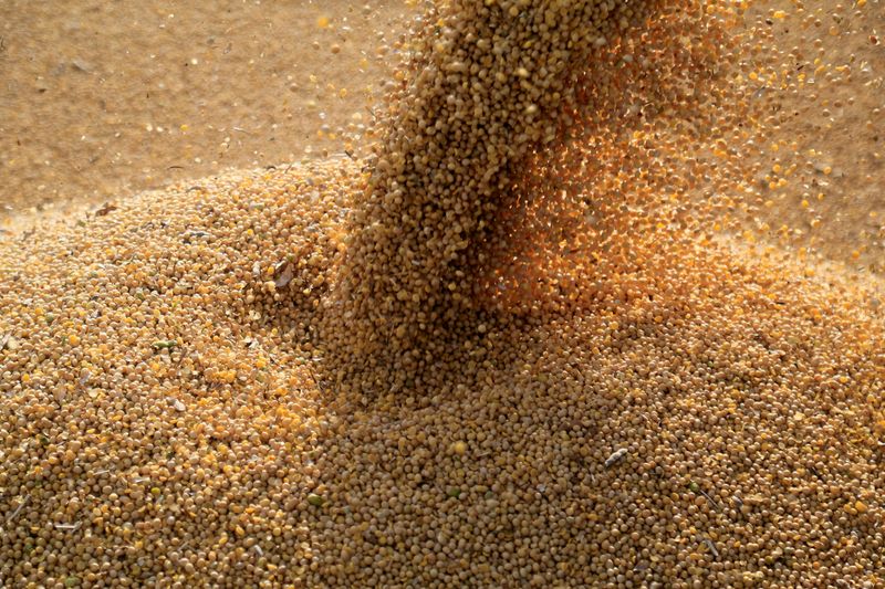 Bunge lifts 2022 earnings outlook as Ukraine war crimps crop supplies