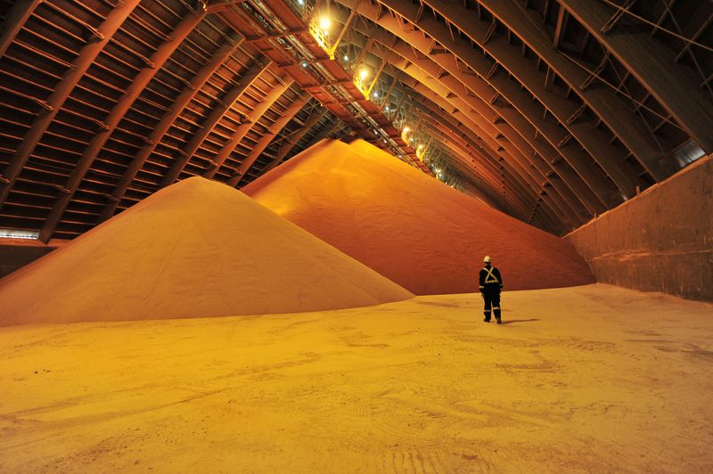 Fertilizer sector set for biggest profits in years on Russia-Ukraine conflict