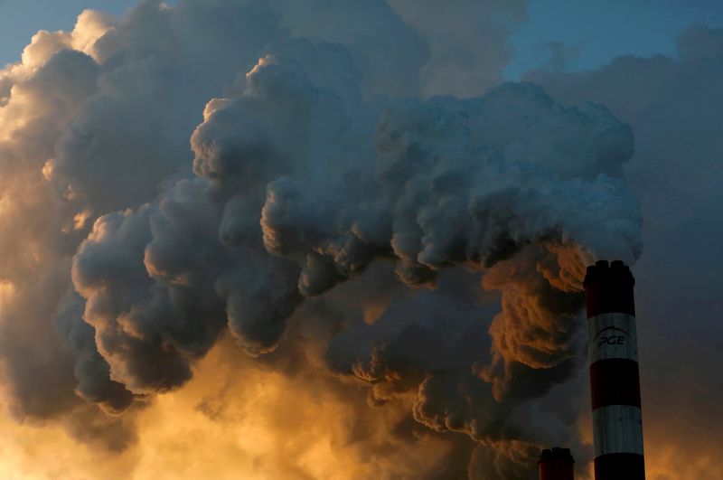 Finance faces new nature-positive disclosure requirements