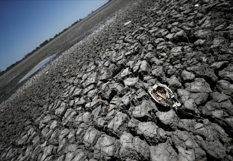 Environment risks dominate in "polycrisis" world - WEF survey
