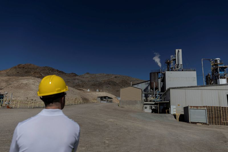Albemarle calls for high lithium prices to fuel EV industry growth