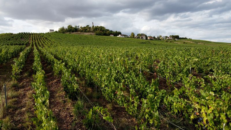 Inflation drives French wine and spirits exports to new high in 2022