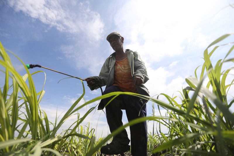 Fertilizer makers in for another slow quarter as demand wilts