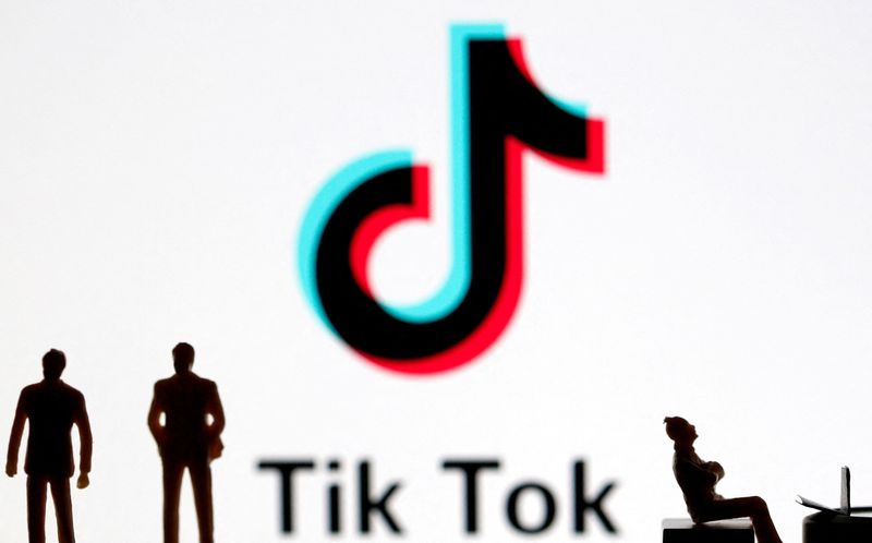 Factbox-TikTok's Chinese ownership, security concerns spark bans across nations