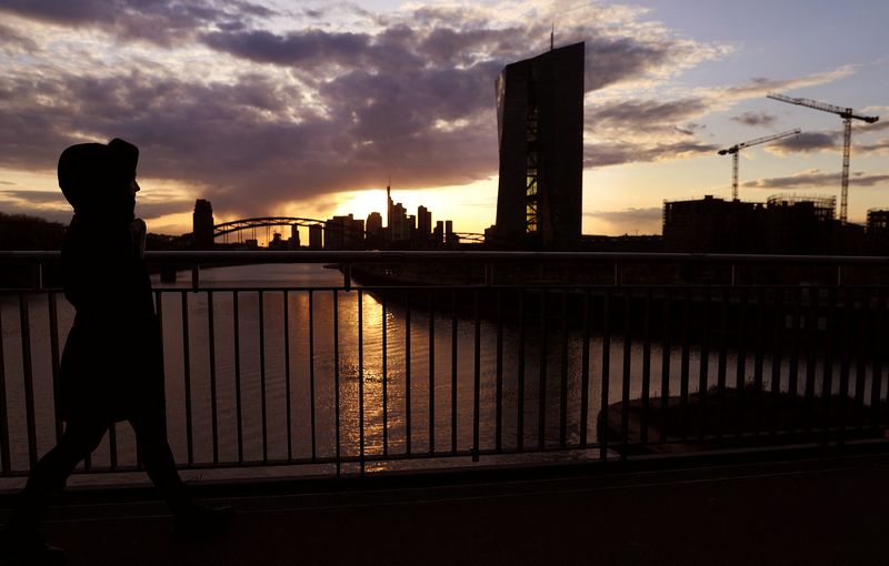 Weak euro zone data point to cracks in recovery as inflation lingers